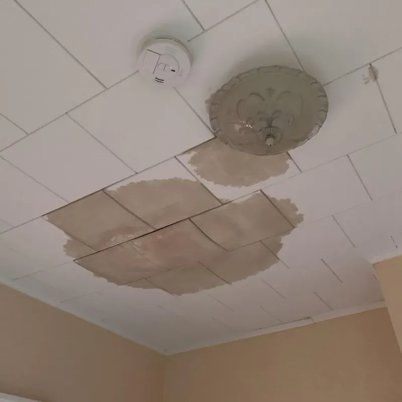 Ceiling Water Damage Repair in Logan, OH
