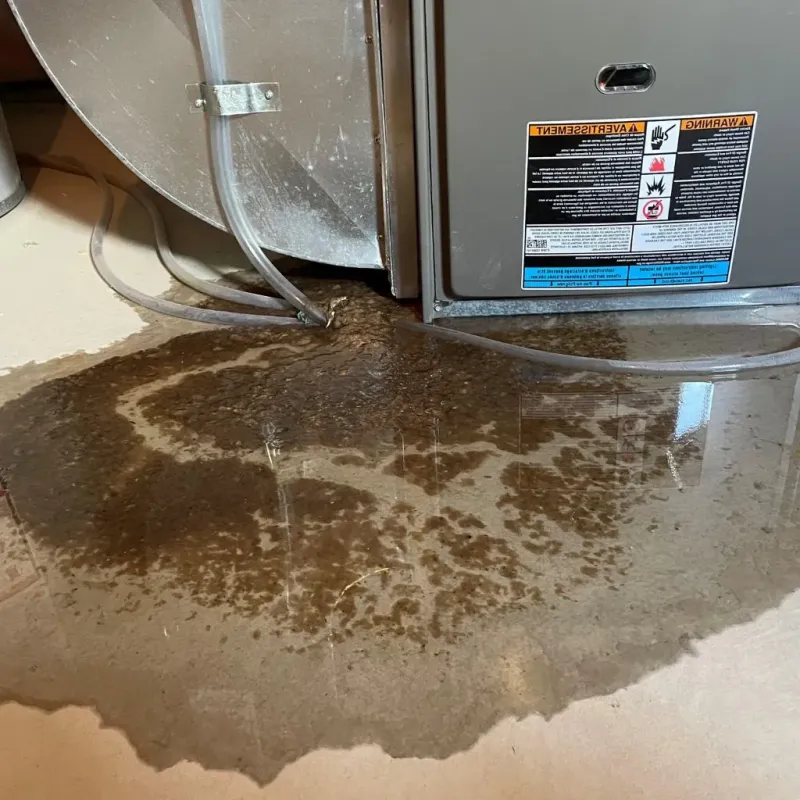Pipe Burst and Leak Restoration in Logan, OH