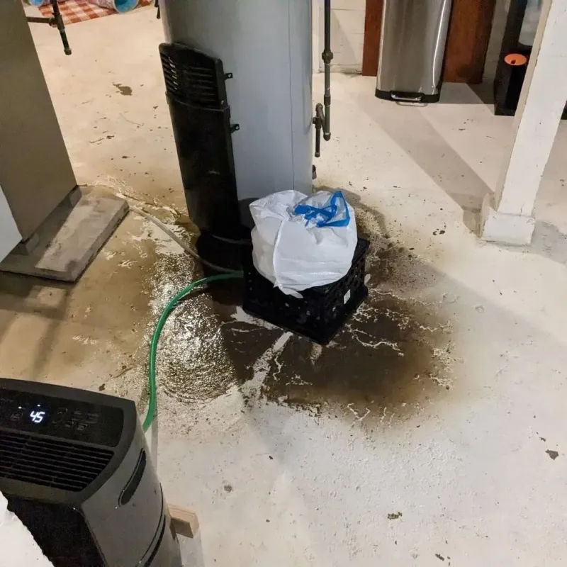 Sewage Backup Cleanup Service in Logan, OH